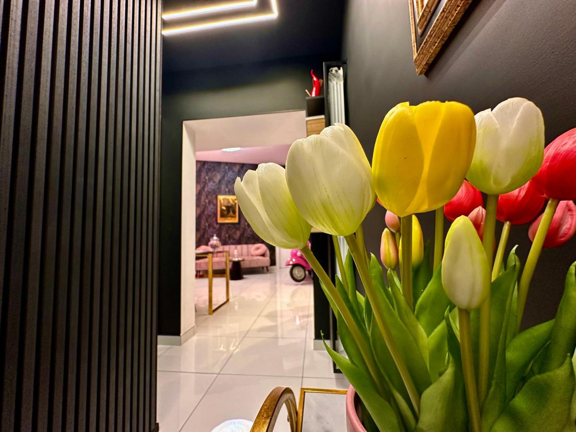 Elegance Rooms Spaccanapoli المظهر الخارجي الصورة